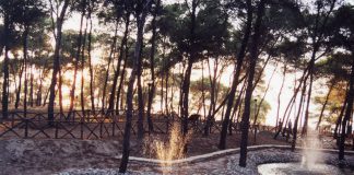 Riapre Parco Cimino il polmone di Taranto