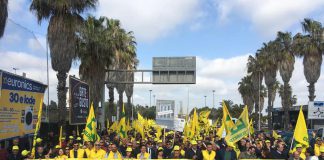 Protesta della Coldiretti a Lecce contro la Xylella