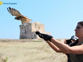 60 esemplari di animali liberati a Torre Guaceto