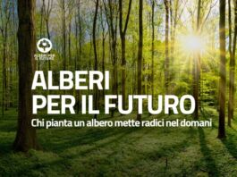 Taranto: al via l'iniziativa "Alberi per il Futuro"