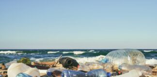 Rifiuti plastica in Mare