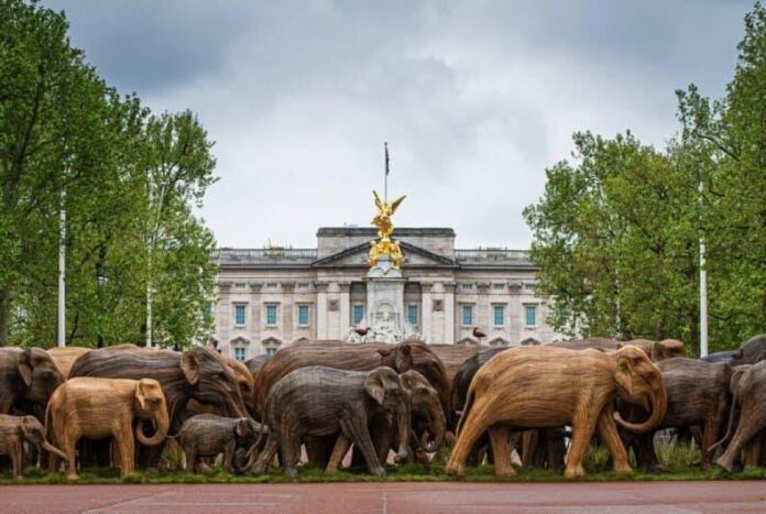 Londra sculture di elefanti campagna CoExistence