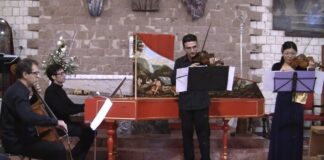Ensemble Hortensia Virtuosa