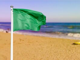 bandiera verde ginosa
