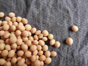 Menopausa e isoflavoni di soia: tutto quello che devi sapere sulla loro efficacia