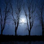 Immagine evocativa con frasi profonde per augurare buonanotte e riflessioni notturne.