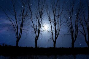 Immagine evocativa con frasi profonde per augurare buonanotte e riflessioni notturne.