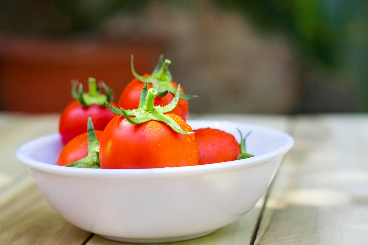 Pomodori maturi e succosi coltivati in vaso, pronti per la raccolta.