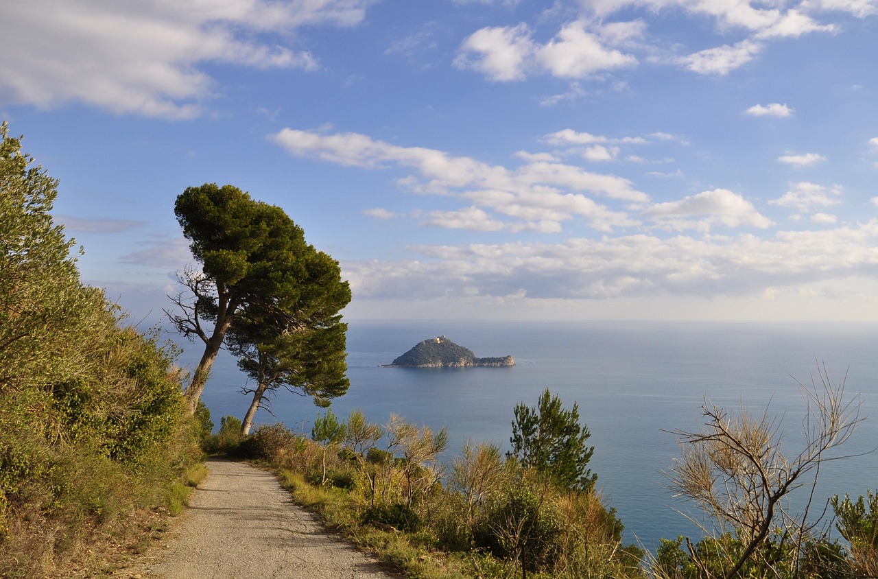 Spiaggia dell'Isola d'Elba con acque cristalline e scogliere, ambientazione paradisiaca.