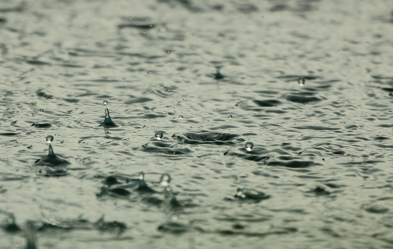 Sistema di raccolta acqua piovana con serbatoio e tubi per irrigazione in giardino.