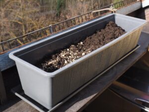 Semina di novembre sul balcone: ecco cosa mettere a dimora per raccogliere prima